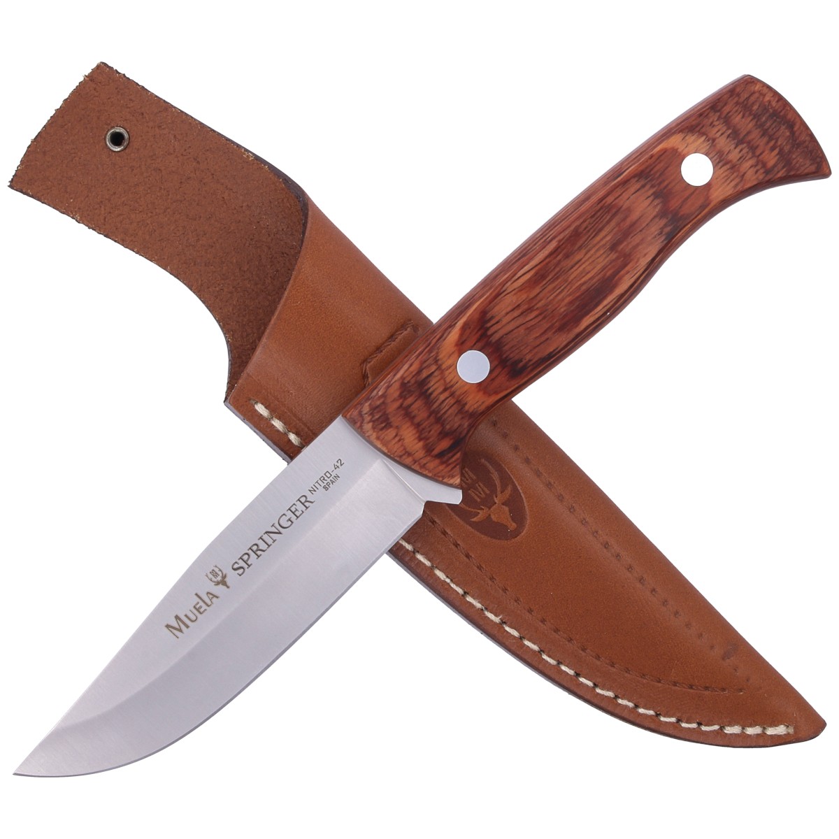 NOZ-MUELA-SPRINGER-PAKKAWOOD-110MM-SPRINGER-11R
