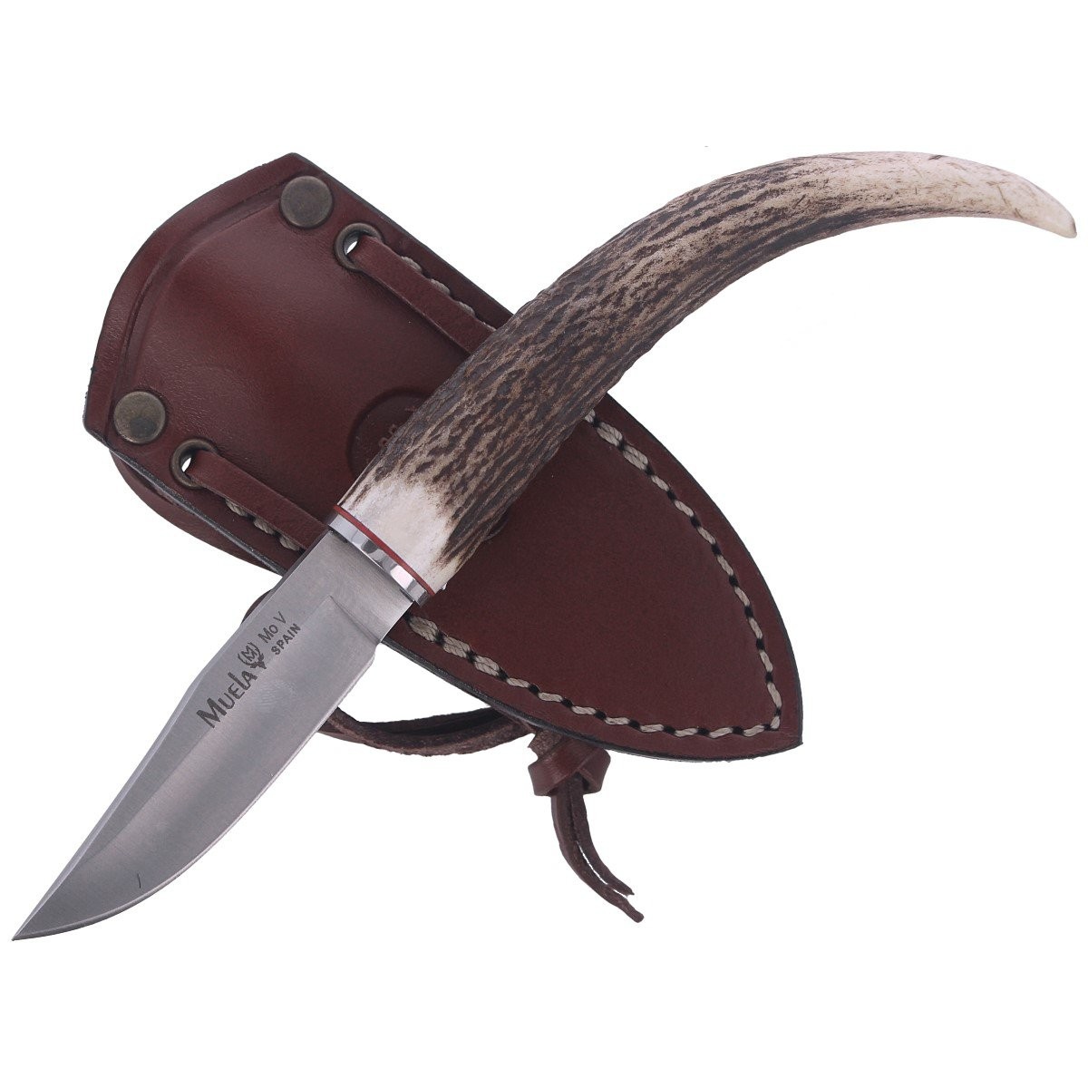 NOZ_NA_SZYJE_MUELA_NECK_KNIFE_DEER_STAG_75MM_BW-6.C_lentus_militaria