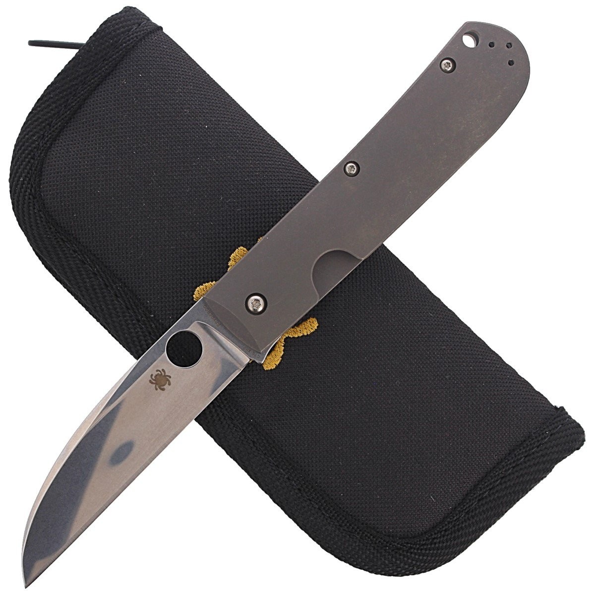 NOZ_SPYDERCO_SWAYBACK_TITANIUM_PLAIN_C249TIP