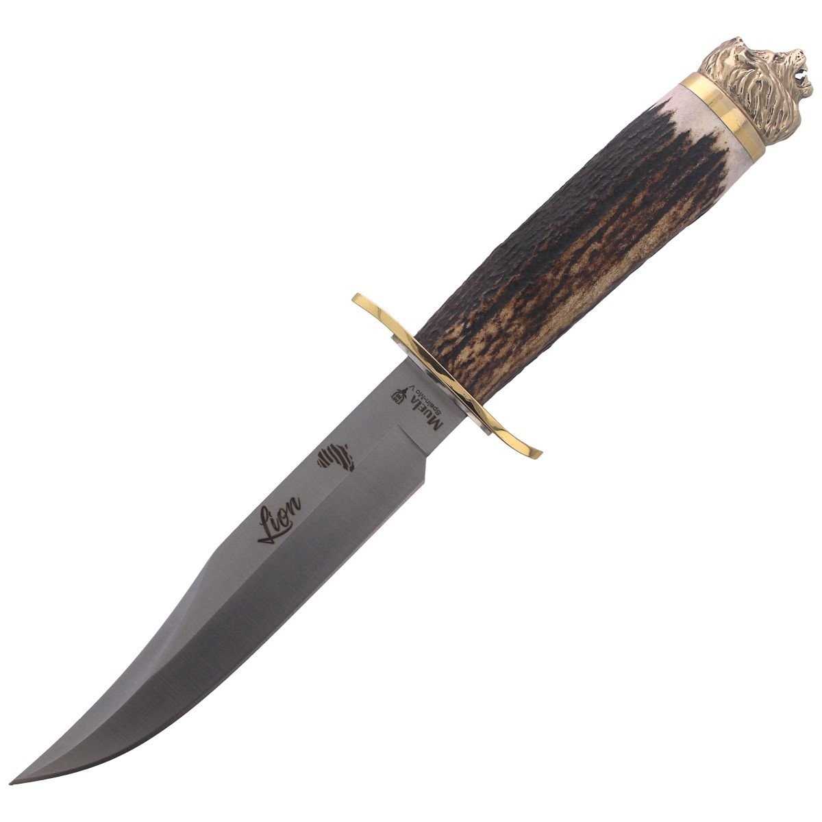 Noz_Muela_Big_Five_Deer_Stag_160mm_Gift_Box_LION-16BF_mysliwski_lew_zdobiony_lentus_militaria