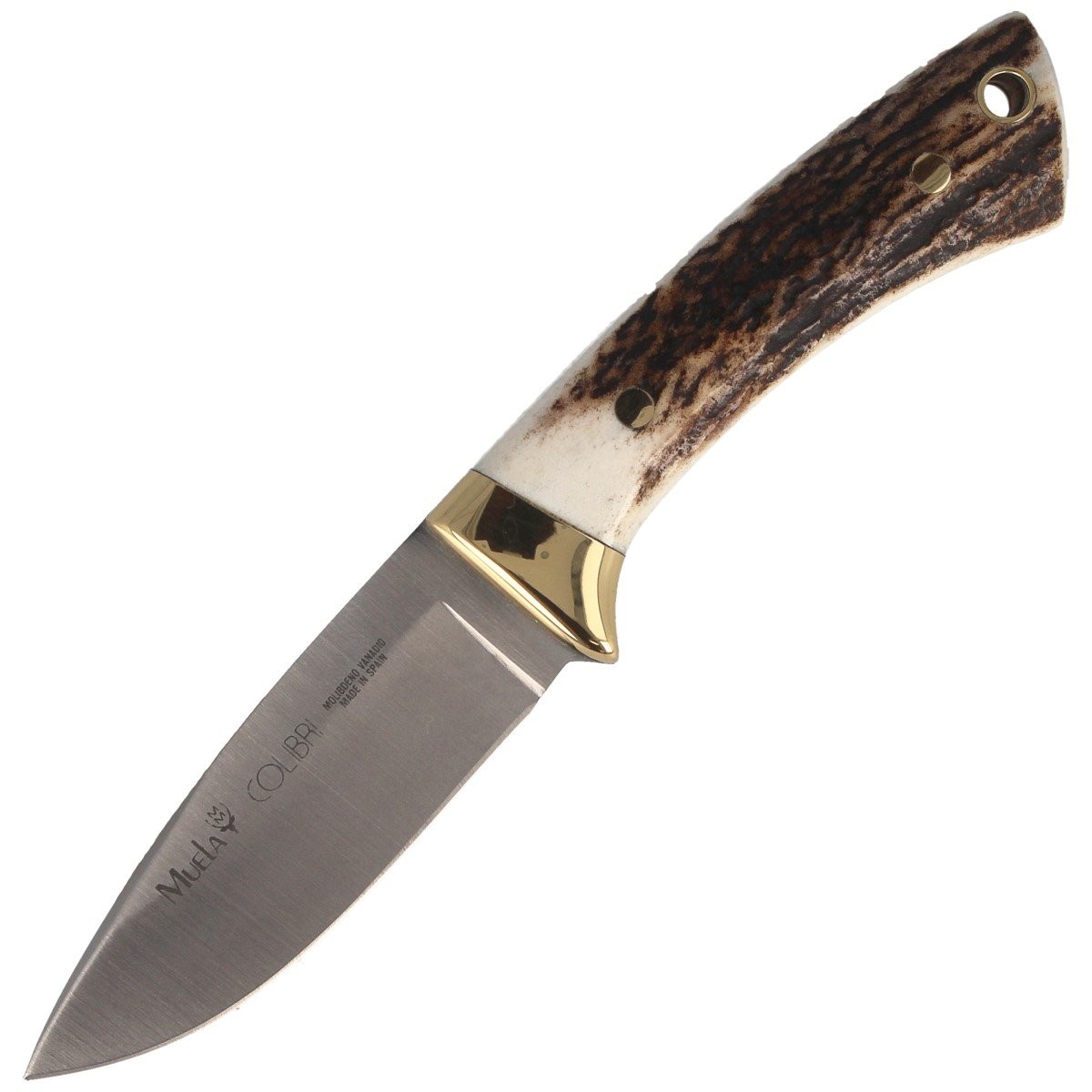 Noz_Muela_Colibri_Full_Tang_Deer_Stag_70mm_COL-7A