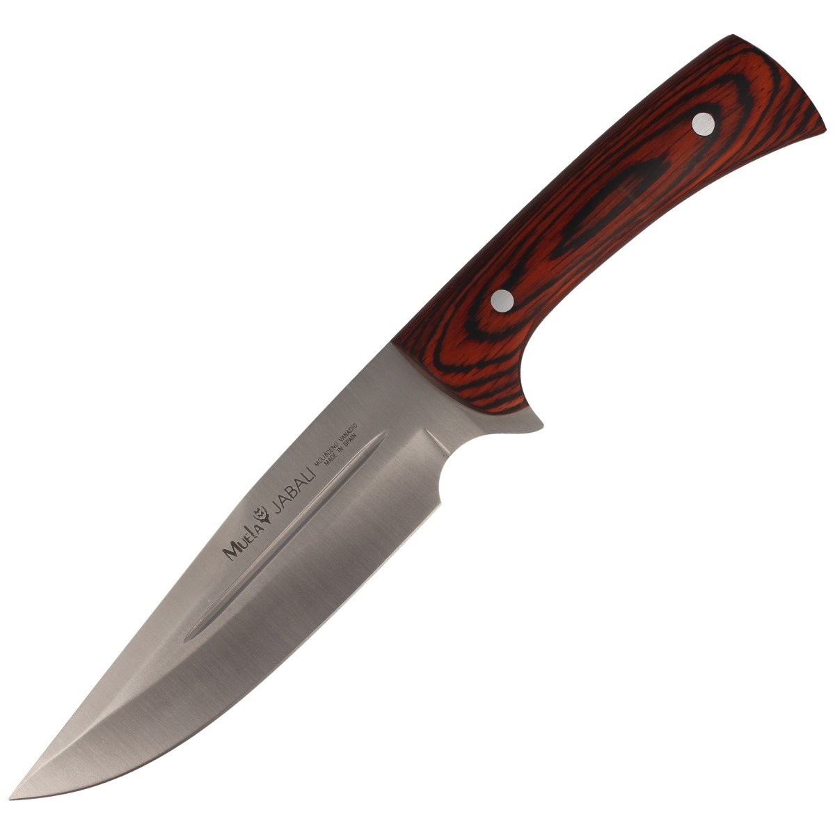Noz_Muela_Full_Tang_Pakkawood_170mm_JABALI-17E