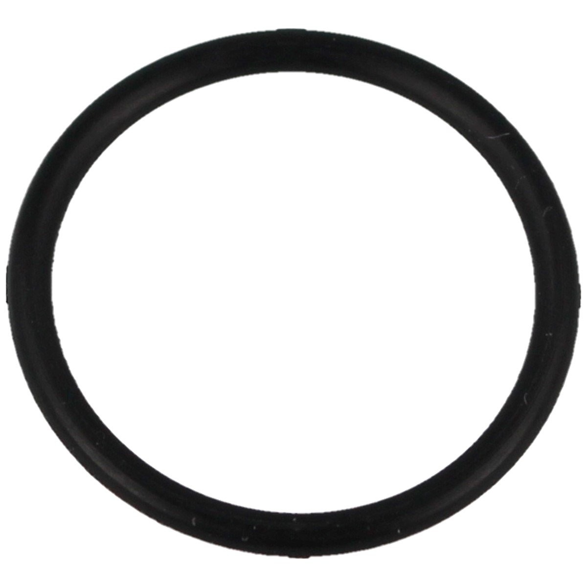 O-RING_21x2_DO_POMPKI_PCP_HATSAN_HAND_PUMP_53_lentus_militaria