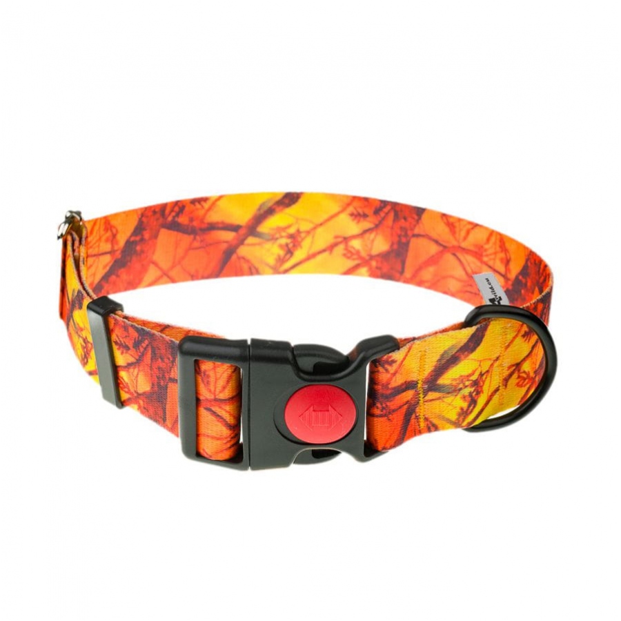Obroza-z-tasmy-4wild-eu-40-mm-39-61-cm-pomaranczowy-kamuflaz