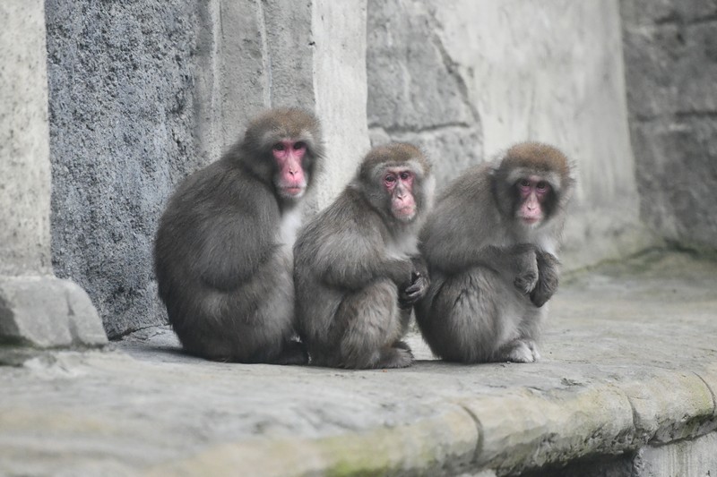 Orientarium_Lodz_Zoo_Kraken_tunel_oceaniczny_Nocowanie_14_13