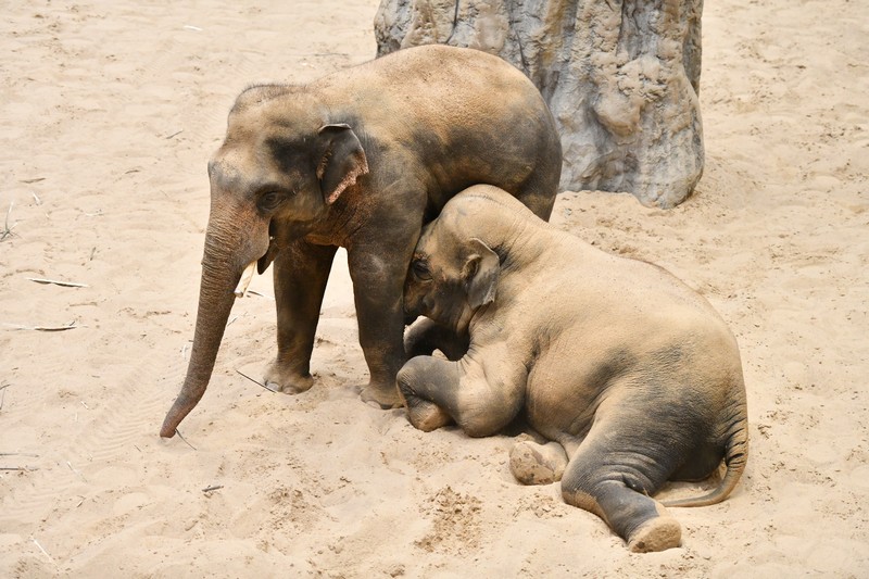 Orientarium_Lodz_Zoo_Kraken_tunel_oceaniczny_Nocowanie_14_13