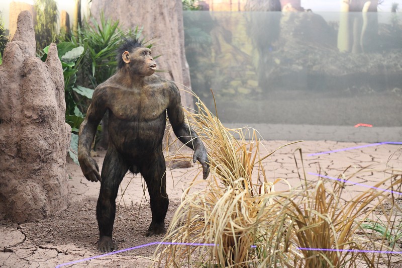 Park_Jurajski_Krasiejow_JuraPark