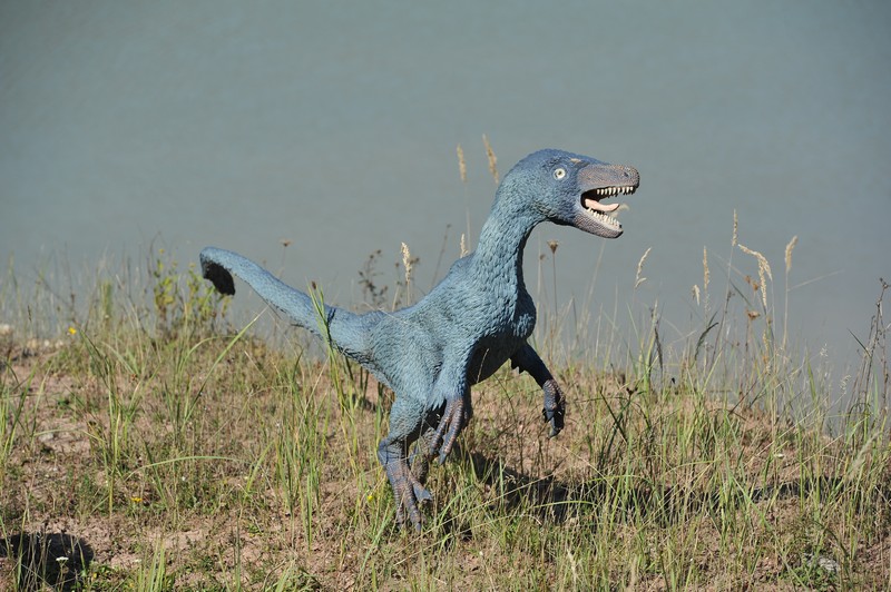 Park_Jurajski_Krasiejow_JuraPark