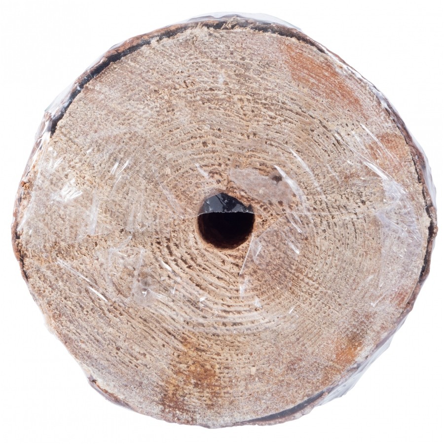 Swieca_ogrodowa_Woodson_Citronella