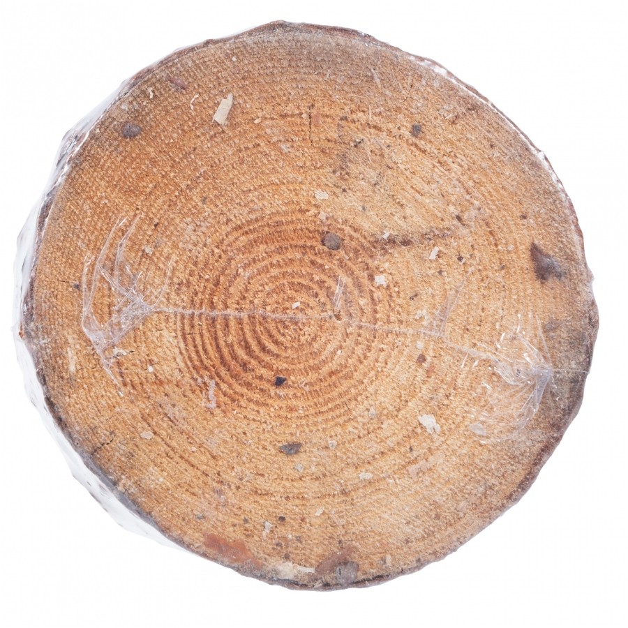 Swieca_ogrodowa_Woodson_Citronella