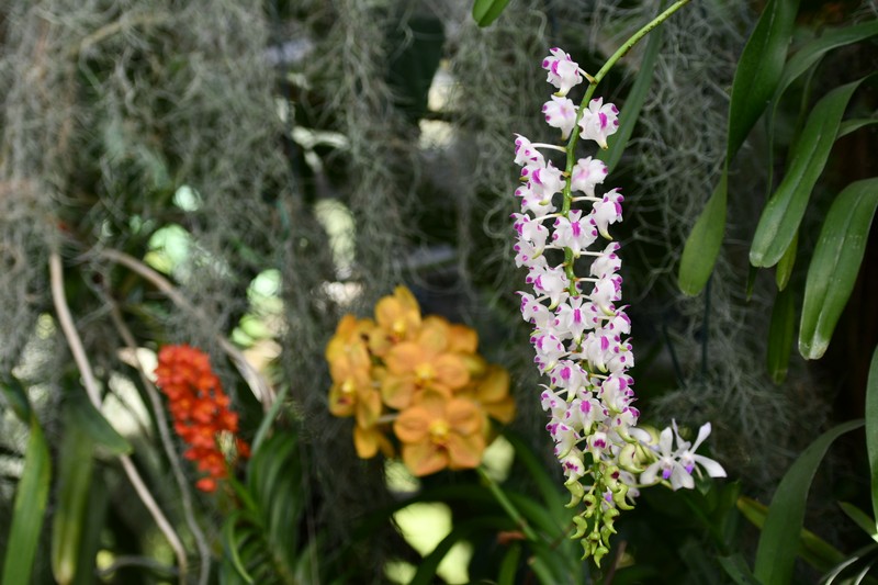 Zamek_w_Lancucie_Wozownia_Storczykarnia