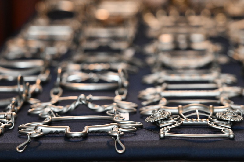 Zamek_w_Lancucie_Wozownia_Storczykarnia