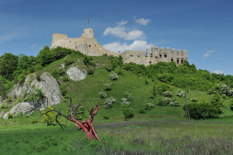 Widok_na_zamek_Rabsztyn