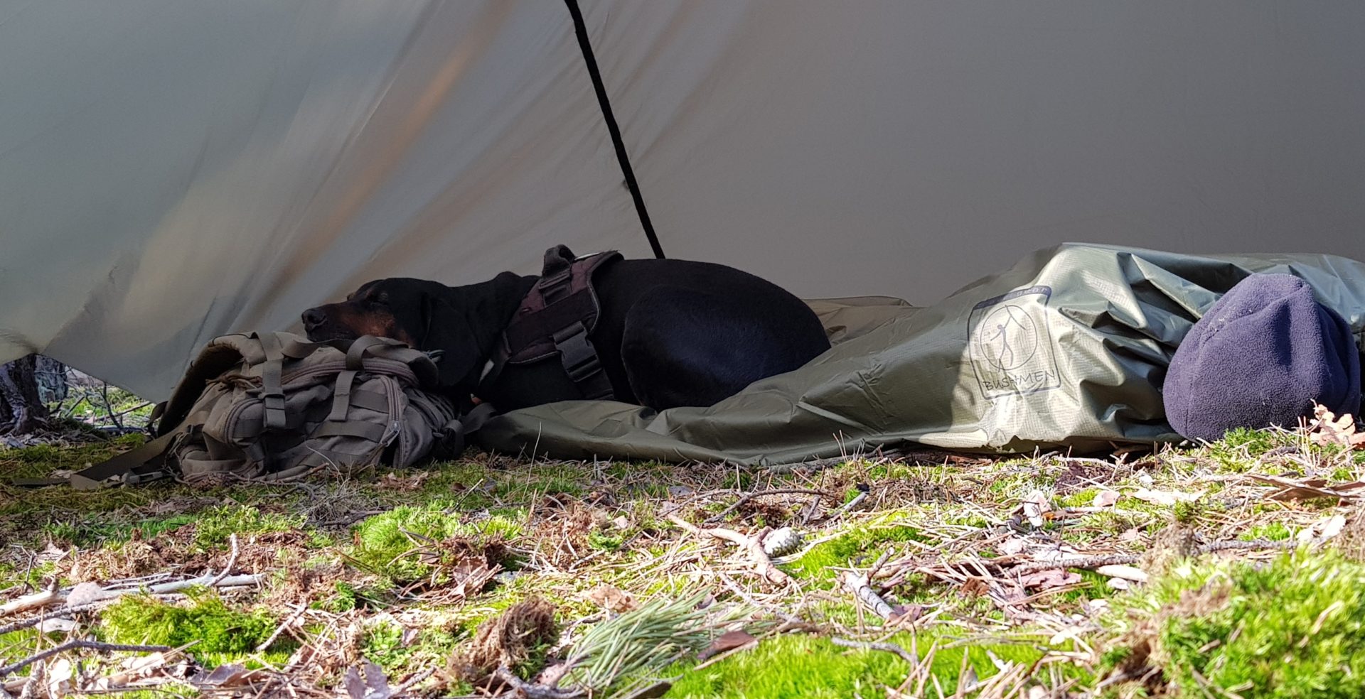 pl=plKoc-ratunkowy-Bushmen-Thermo-Blanket-poncho-spiwor-awaryjny-podpinka_10